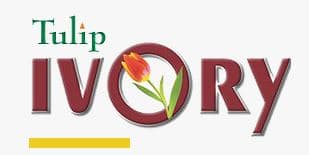 Tulip Ivory Sector 70 Gurgaon
