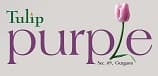 Tulip Purple Sector 69 Gurgaon