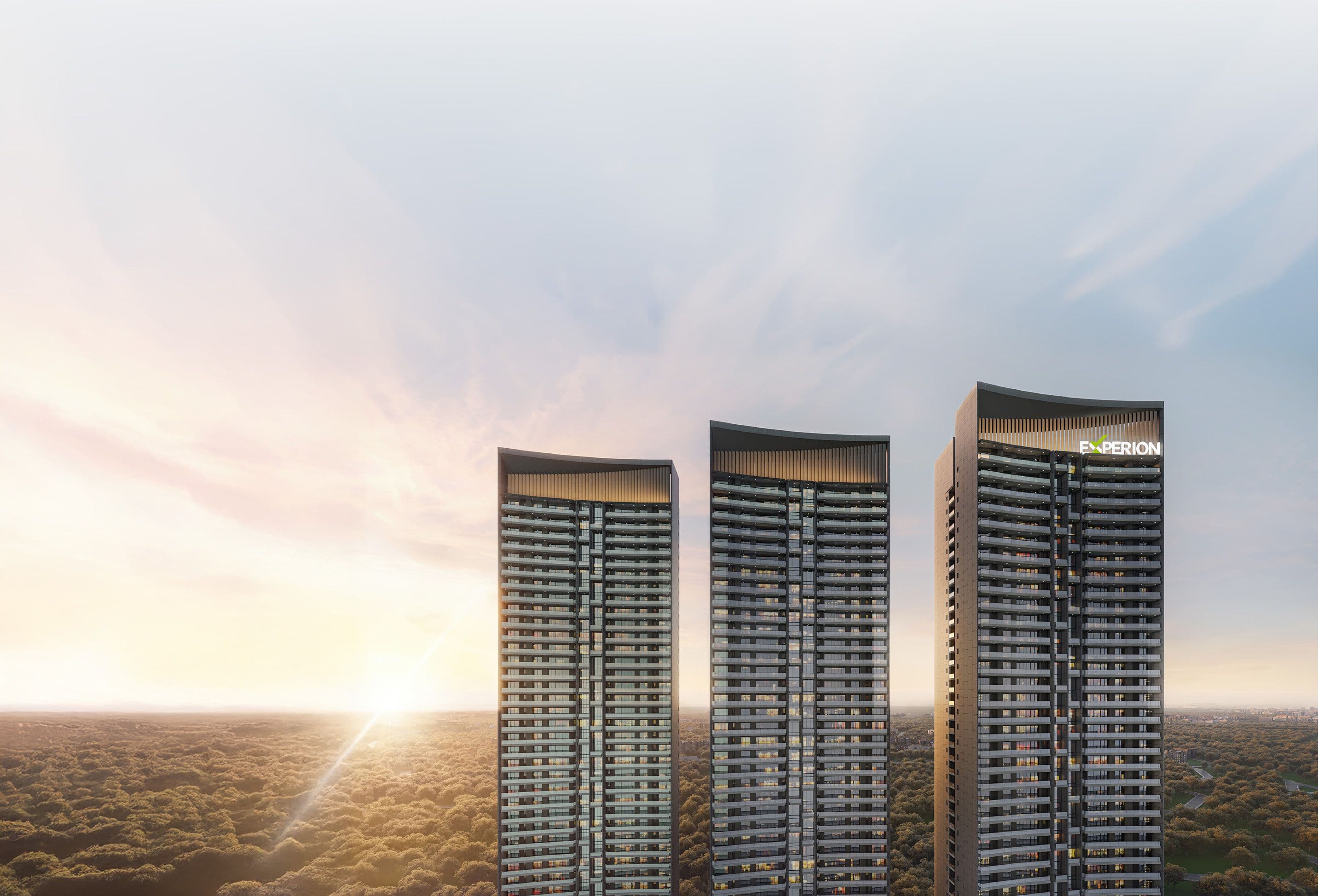 Project Advertisement Banner