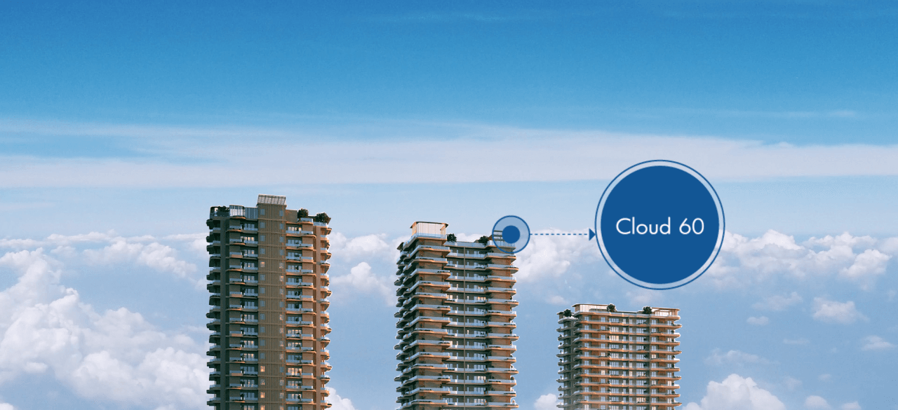 Project Advertisement Banner